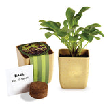 Flower Pot Set with Basil Seeds (Q667511)