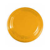 Polypropylene Flyers (9") (Q689311)