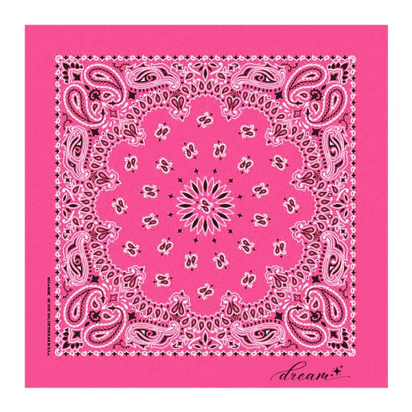 22 In Traditional USA Paisleys Bandana - Fuchsia (Q706522)