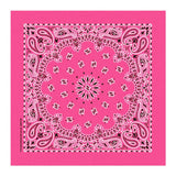 22 In Traditional USA Paisleys Bandana - Fuchsia (Q706522)