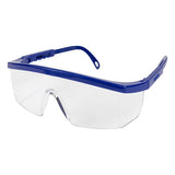 Integra Safety Glass (Q717011)