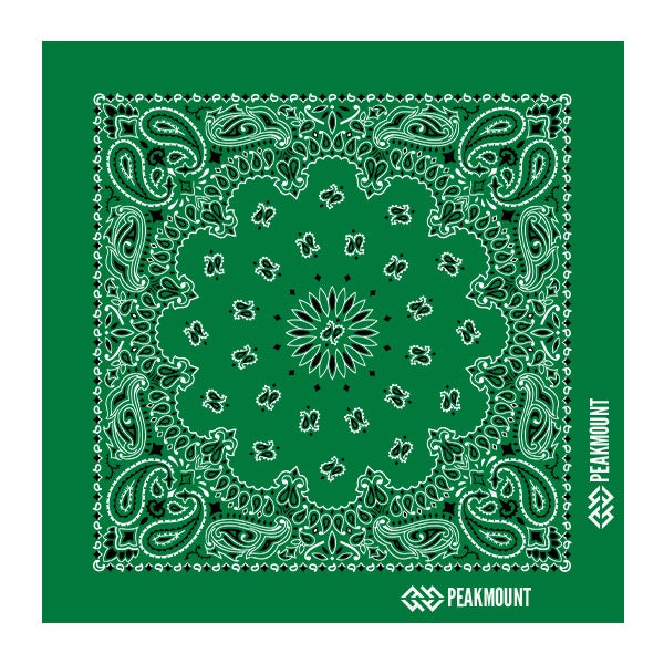 22 In Traditional USA Paisleys Bandana - Kelly-Yellow (Q726522)