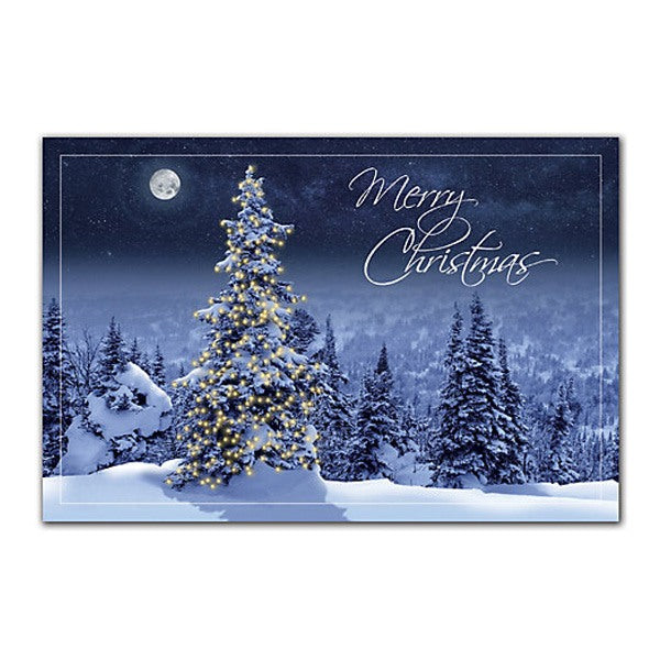 Simply Stunning Holiday Postcards 6" x 4" (Q763111)