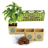 GrowPot Eco-Planter Herb 3-Pack (Q767511)