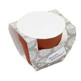 Seed Sensations Terracotta Pot With Holiday Wrapper (Q770422)