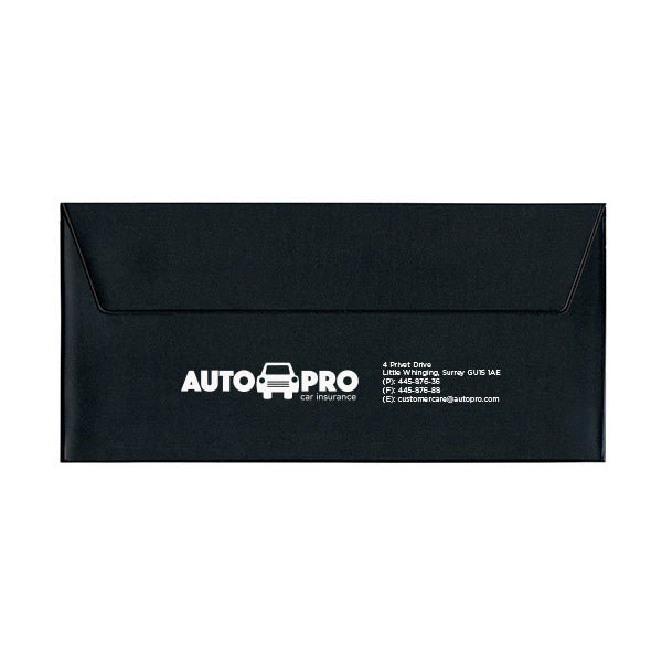 Standard Vinyl Document Case (Q781011)