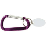 Metal Carabiner Keytags (Q793411)