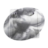 Vanguard Plaques - Screen Print (Q809811)