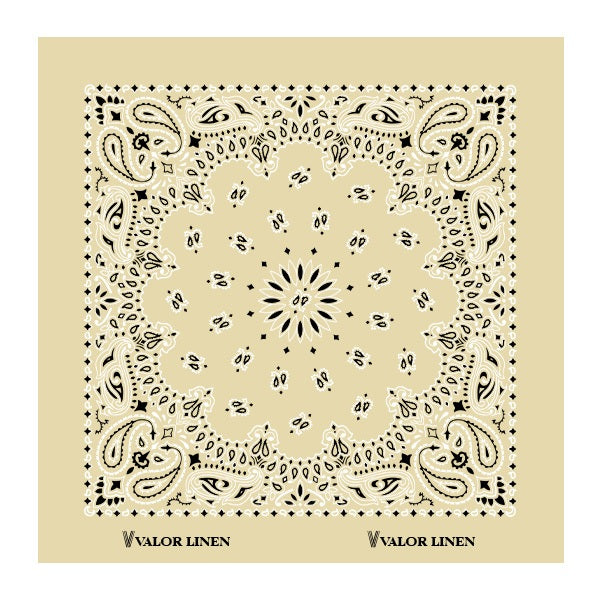 22 In Traditional USA Paisleys Bandana - Beige (Q816522)