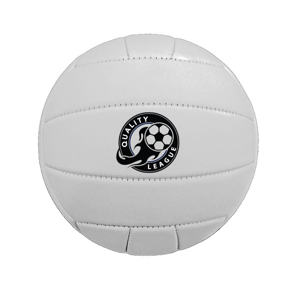 Full-Size Synthetic Leather Volleyball  Imprinted with Logo (Q820211)