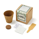 Lucky 4 Leaf Clover Growables Planter (Q850422)