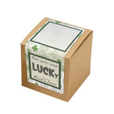 Lucky 4 Leaf Clover Growables Planter (Q850422)