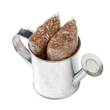 Seed Sensations Watering Can Planter (Q870422)