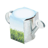 Seed Sensations Watering Can Planter (Q870422)
