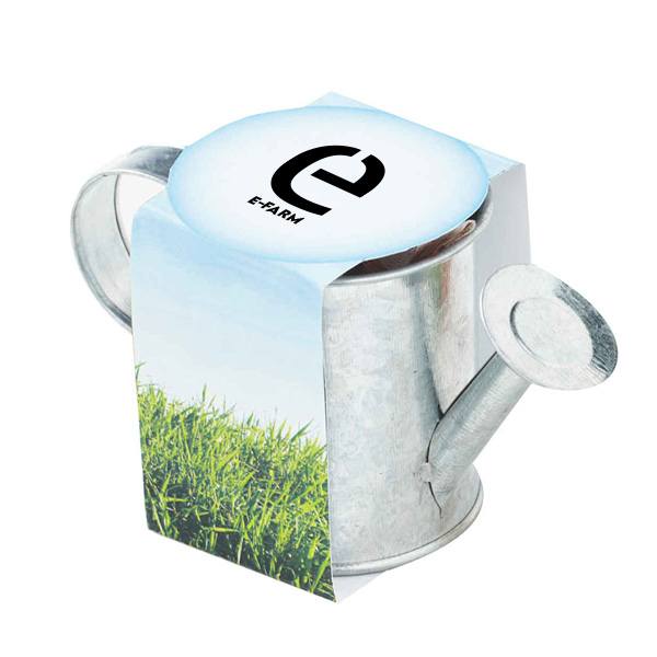 Seed Sensations Watering Can Planter  Imprinted with Logo (Q870422)