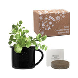Mini Campfire Mug Blossom Kit (Q875211)