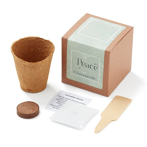 Grow Some Calm Peace In Gift Box (Q899422)
