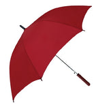 The 48 Inch Auto Open Straight Umbrella (Q907422)