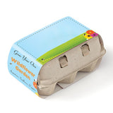 Grow Your Own Wildflower Garden Kit (Q940422)