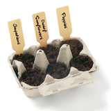 Grow Your Own Wildflower Garden Kit (Q940422)