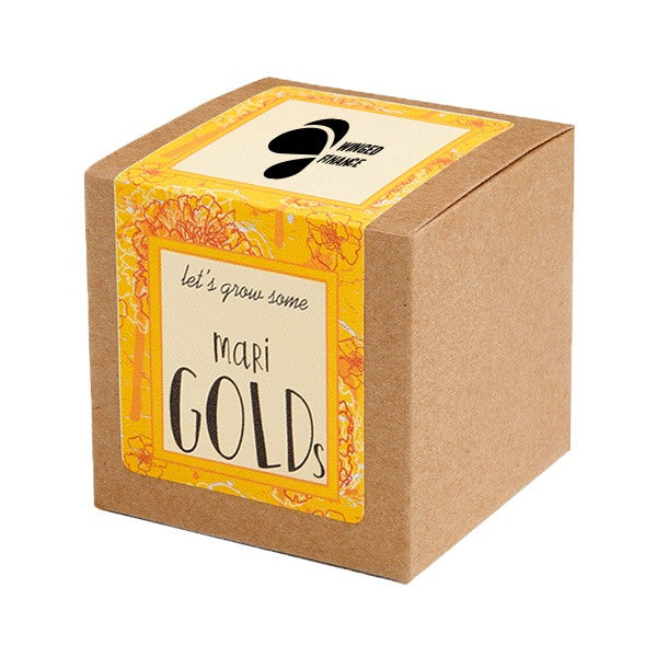 Marigold Growables Planter In Kraft Gift Box (Q950422)
