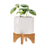 Ceramic Planter Set (Q965211)