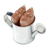 Seed Sensations Watering Can Planter With Holiday Wrapper (Q970422)